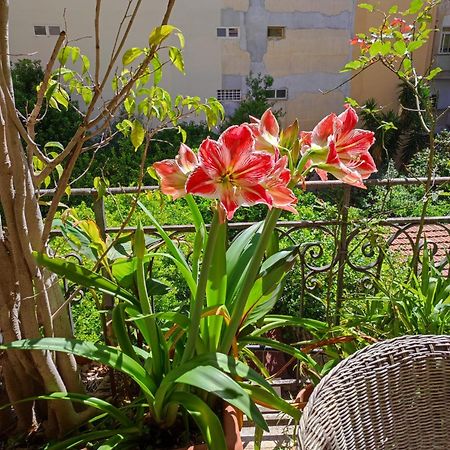 شقة Cuba'S Art House باليرمو المظهر الخارجي الصورة